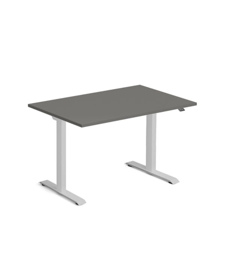 Höj och sänkbart skrivbord Ekoflex, Antracit 1200x800 mm 2-ben/Silver 